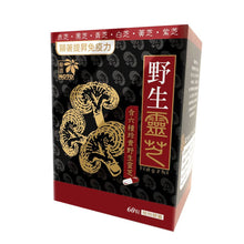 將圖片載入圖庫檢視器 樂道 野生靈芝(60粒)